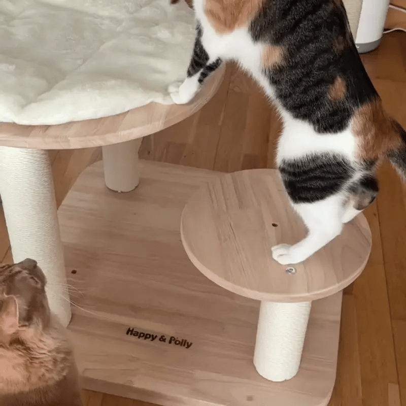 Transformable Cat Tree