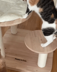 Transformable Cat Tree