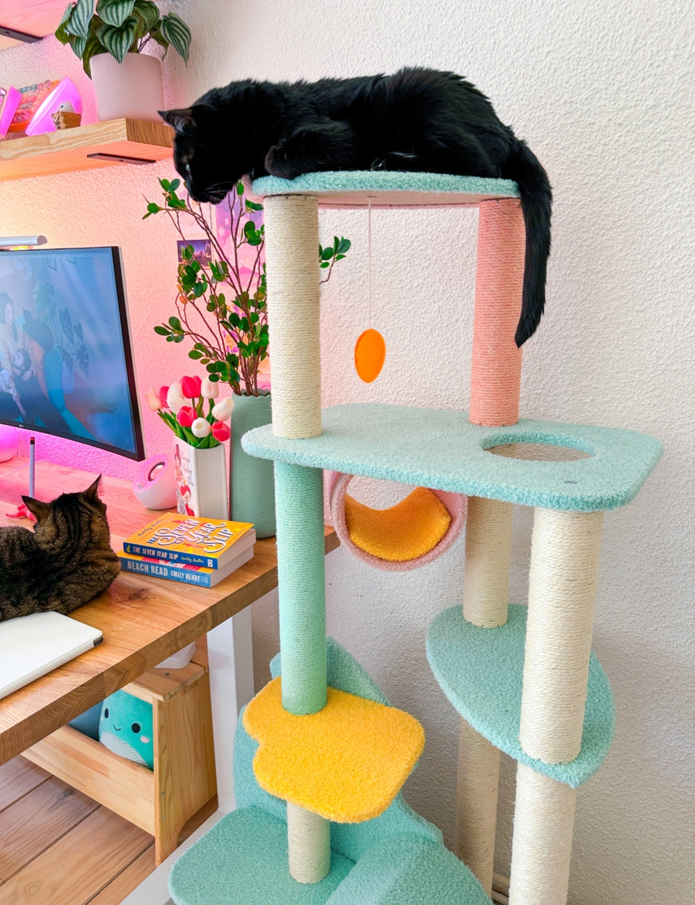 wonderland cat tree gallary