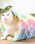 Elves in the Rainbow Cat Tunnel