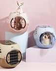 Double Door Airbox Cat Carrier
