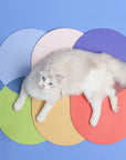 Color Contrasted Food Mat