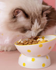 Round Point Cat Bowl