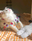 Flower Embroidery Cat Dress