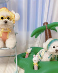 Pet Sunglasses