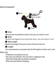 Fruit Series Pet Harness Vest & Leash - happyandpolly