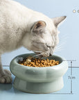 Simple Ceramic Cat Bowl-For Round Faces