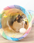 Elves in the Rainbow Cat Tunnel