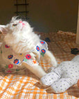 Flower Embroidery Cat Dress