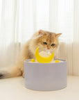 Moonlight Cat Water Fountain