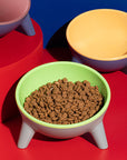 Contrasting Color Cat Bowl