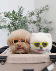 Pet Sunglasses