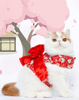 Japanese Style Harnesses With Bow