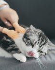 Rubber Finger Cat Toys