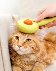 Donut Cat Groom