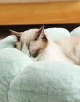 Bloomy Flower Cozy Plush Cat Bed