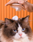 Massage Brush Cat Groom