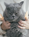 Rubber Finger Cat Toys