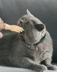 Rubber Finger Cat Toys