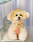 Pet Sunglasses