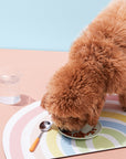 Rainbow Waterproof Food Mat