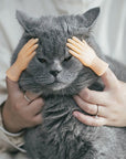 Rubber Finger Cat Toys