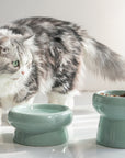 Simple Ceramic Cat Bowl-For Round Faces