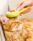 Donut Cat Groom