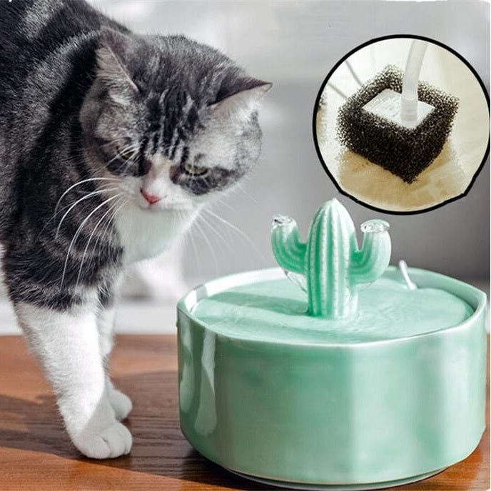 Cat water bowl filter on sale