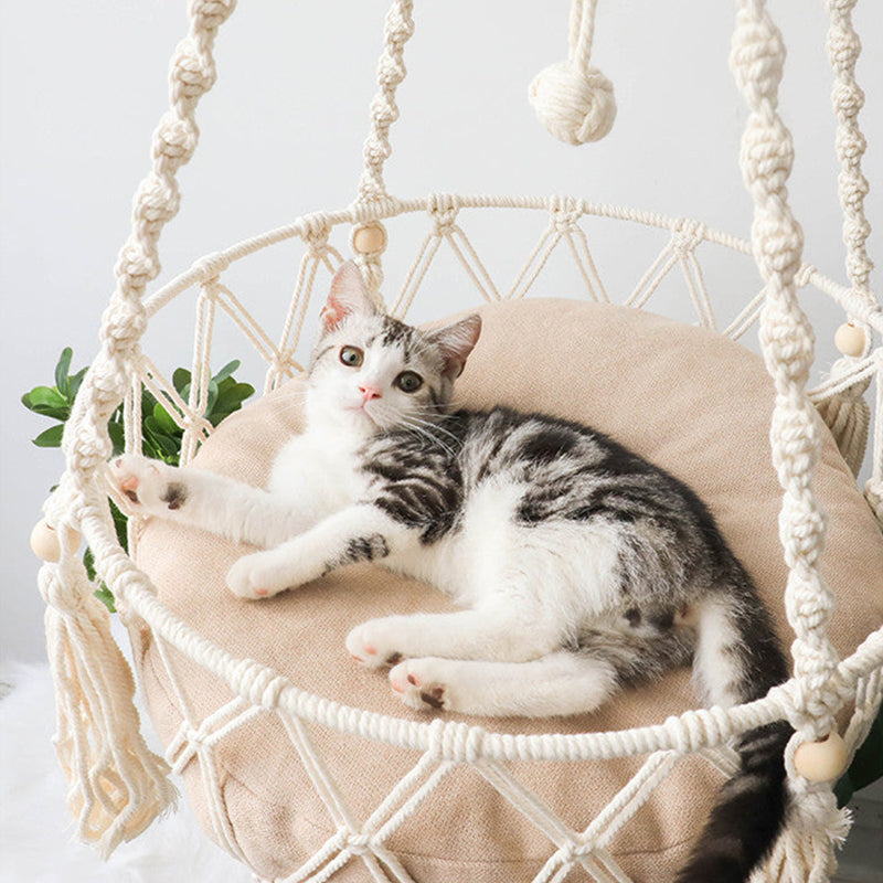 Cat wicker swing chair best sale