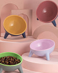 Contrasting Color Cat Bowl