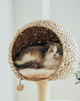 Detail of a cat sleeping in the top nest of the Bird Nest Cat Tree
