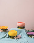 elevated ceramic cat bowls