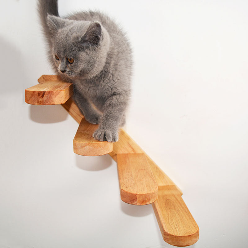 Cat Climbing Jumping Platform