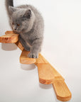 Cat Climbing Ladder Wood Stairs Jumping Platform - happyandpolly