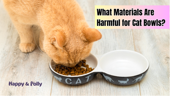 Choose the Right Bowl to Protect Your Pet’s Health!