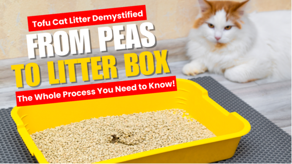 Tofu Cat Litter Demystified: From Peas to Litter Box—The Whole Process You Need to Know!