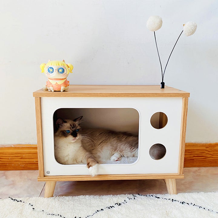 Best Cat Beds To Suit Your Cat’s Personality in 2022
