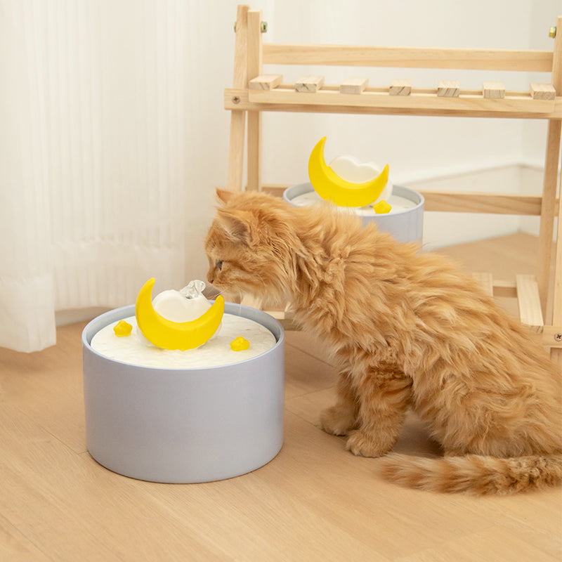 Water Bowls Versus Drinking Fountains for Your Cat!