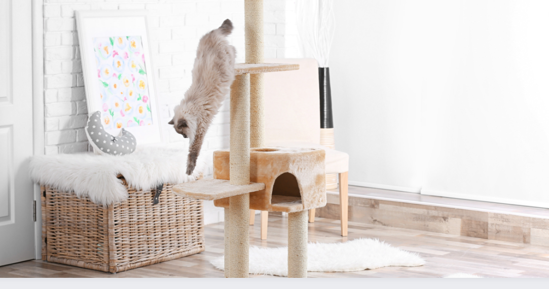 Best Carpet for Cat Tree: What to Know