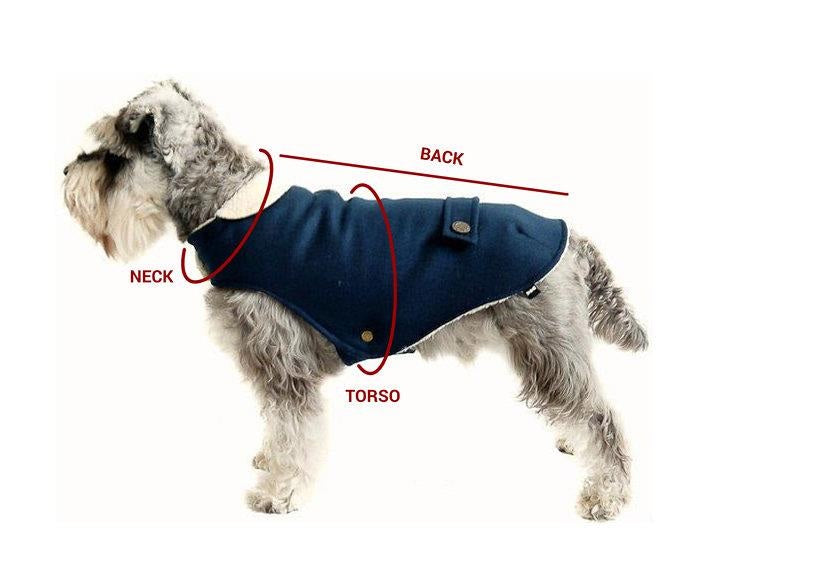 dog neck measure