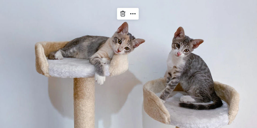 Is a DIY Cat Tree Worth It, or Should I Buy One?