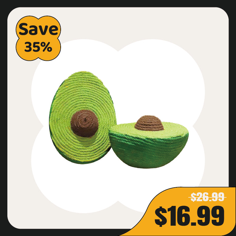 Cat Avocado Fruit Toy Scratcher