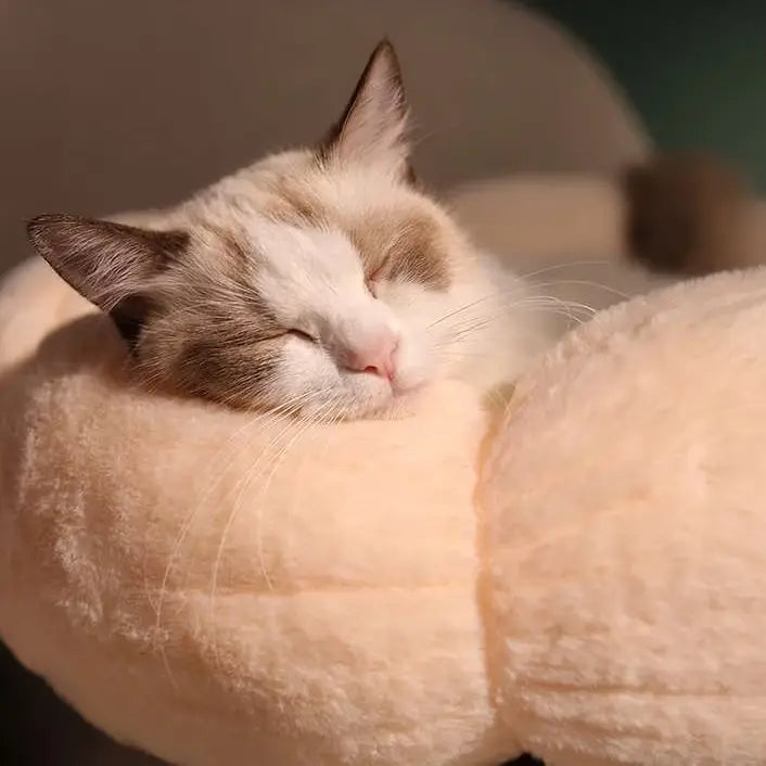 Bloomy Flower Cozy Plush Cat Bed