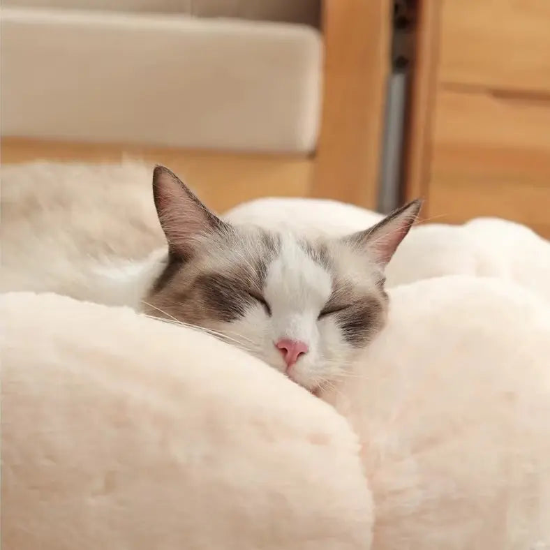 Bloomy Flower Cozy Plush Cat Bed