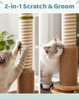 Coconut Palm Cat Scratching Post