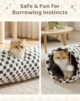 Elves in the Checkerboard Cat Tunnel
