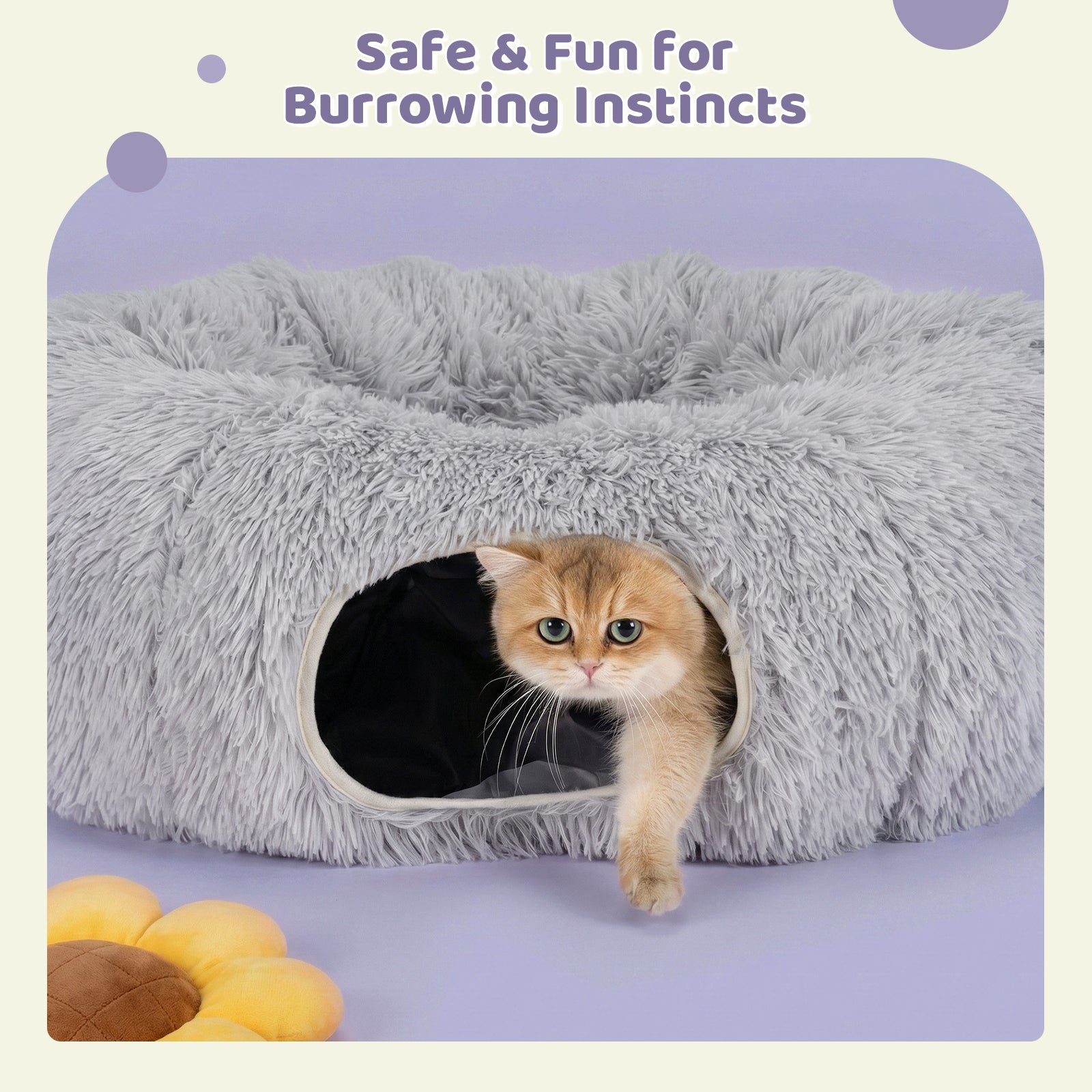 Elves in the Gray Cat Tunnel