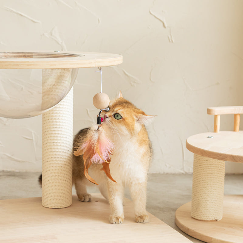 Cat tree with clear bowl best sale