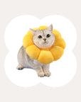 Flower Styled Cat Cone